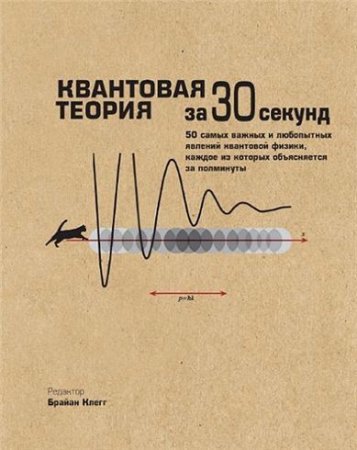 Квантовая теория за 30 секунд (2014) PDF