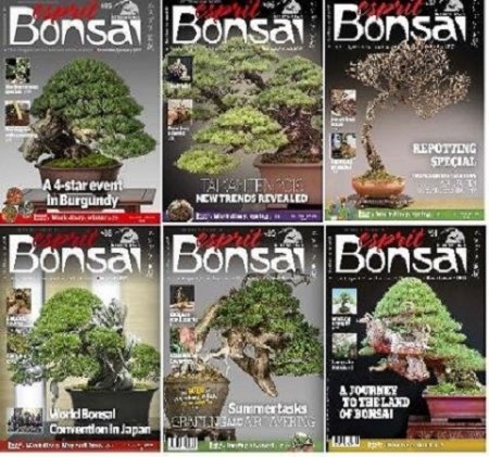 Подшивка журналов Esprit Bonsai International за 2017 год