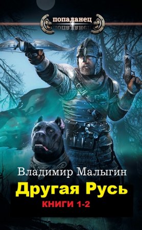 Владимир Малыгин. Цикл книг - Попаданец. Другая Русь