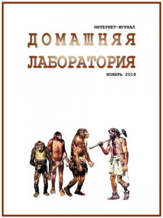 Домашняя лаборатория №11 (ноябрь 2018)