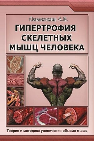 Гипертрофия скелетных мышц человека