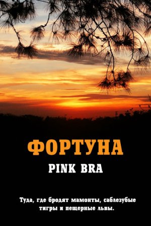 Pink Bra. Фортуна