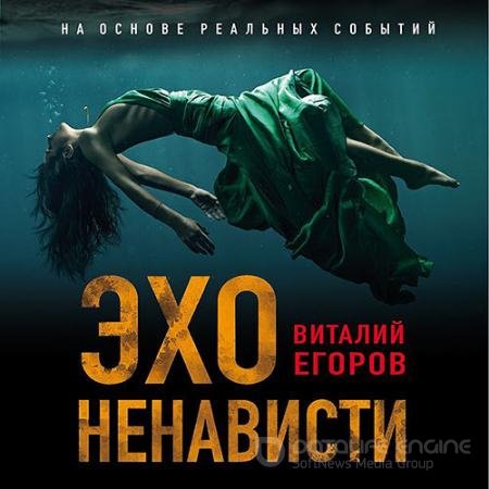 Аудиокнига - Эхо ненависти (2022) Егоров Виталий