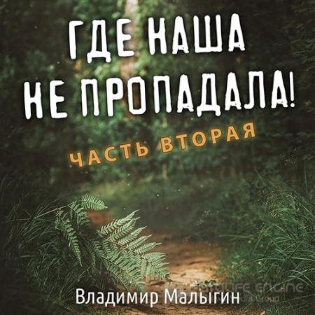 Аудиокнига - Где наша не пропадала! Часть 2 (2022) Малыгин Владимир