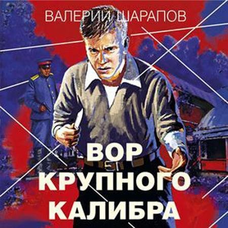 Аудиокнига - Вор крупного калибра (2022) Шарапов Валерий