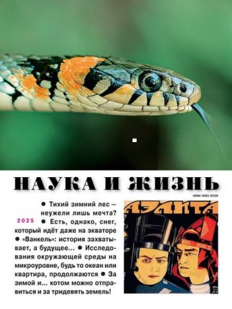 Наука и жизнь №1-2 (январь-февраль 2025)