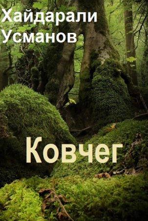 Хайдарали Усманов. Цикл (2 книги) - Ковчег