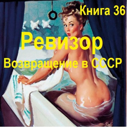Аудиокнига - Ревизор: возвращение в СССР. Книга 36 (2025)