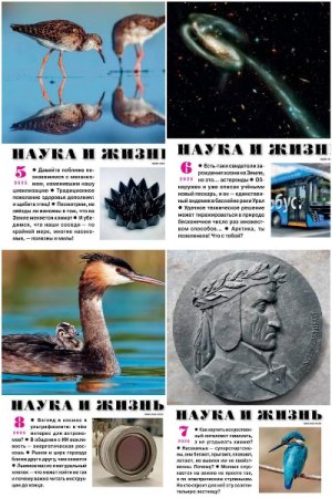 Наука и жизнь №5-8 (май-август 2025)