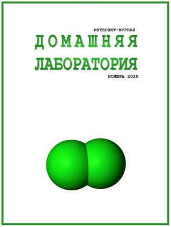 Домашняя лаборатория №10-11 (октябрь-ноябрь 2025)